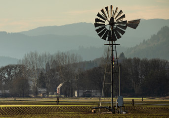 Wall Mural - windmill in the field
