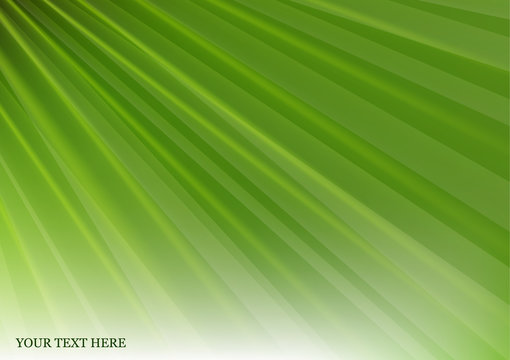 Abstract colored background, soft light, ray texture. Vector illustration