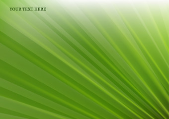 Wall Mural - abstract colored background, soft light, ray texture. vector illustration