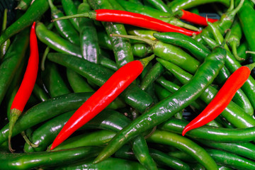 Wall Mural - fresh hot colorful chili peppers in a supermarket