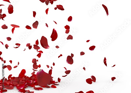 Rose petals fall to the floor © injenerker