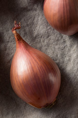 Wall Mural - Raw Purple Organic Shallots