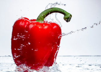 Wall Mural - Paprika Splash in Water on white background,sweet pepper drop in the water