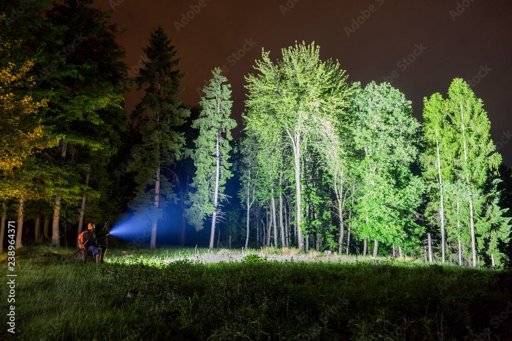 Man pointing flashlight to forest at night.  - obrazy, fototapety, plakaty 