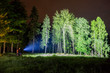 Man pointing flashlight to forest at night. 