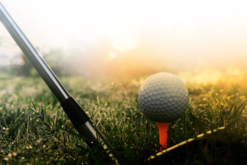 Golf club and golf ball on green grass ready to play.Morning sunshine with fresh feeling.Popular sports of people around the world that help keep you healthy and enjoy.