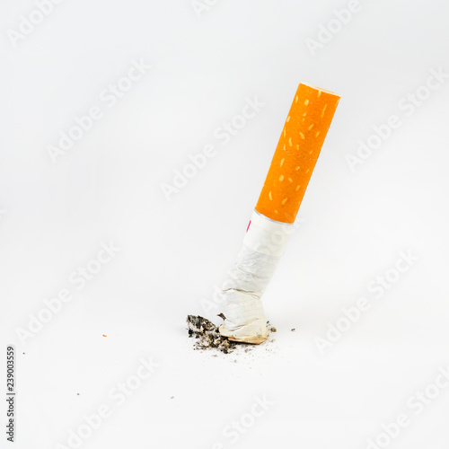 Fotografie, Obraz Cigarette butt with ash over white background. close-up.