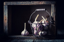 Aromatic Rustic Garlic In Old Metal Basket