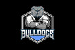 angry bulldog cartoon character fighter athlete matrialarts vector. Combat sport theme logo template