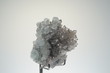 Fluorit, Hellgrün, Gruppe auf Quarzkristalle, China, Mineral, Edelstein