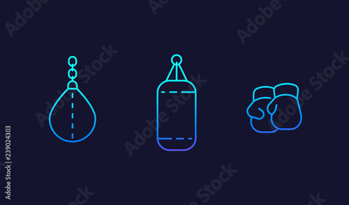 Boxing gloves, punching bags vector line icons Fototapet