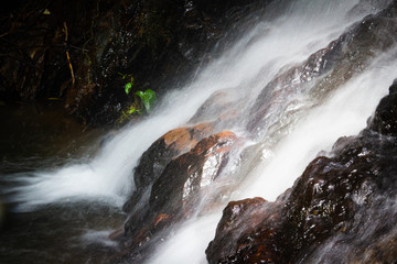 Water falling on stone in the forest black background