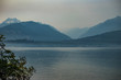 © Taya - tree arching over the waters of puget sound in washington with mountains in background