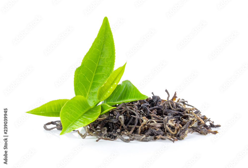 fresh green tea leaf and dry isolated on white background Stock Photo ...