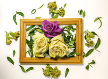 Three Dry Roses With Leaves, Two White Roses, One Pink Rose, Inside A Wooden Frame On A White Background With Leaves And Carnations Outside Close Up
