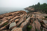 Fototapeta Desenie - The rugged granite coast of Acadia National Park, Maine, on a foggy summer morning.
