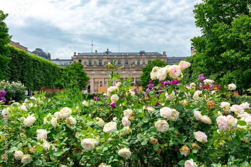 Palais Royal Garden In Center Of Paris France Kaufen Sie Dieses