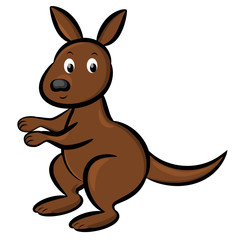 Cute kangaroo on the white background