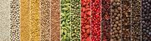  Set Of Spices And Herbs For Indian Cuisine. Colorful Seasoning Background For Design Food Packaging.