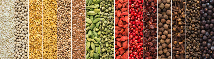  set of spices and herbs for Indian cuisine. colorful seasoning background for design food packaging.