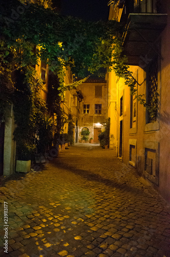 Italy. Night district of Trastevere in the city of Rome. HDR image © Marlene Vicente
