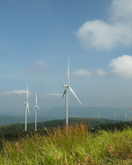 Wind mill farm