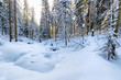 © Alex_Po - Beautiful landscape in the winter forest with snow capped glade and snowy fir trees