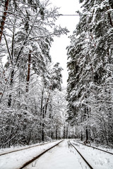 Wall Mural - Tram tracks going through the winter snow-covered forest.