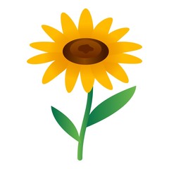 Poster - Sunflower icon. Isometric of sunflower vector icon for web design isolated on white background