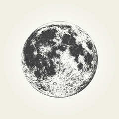 realistic full moon. detailed monochrome vector illustration