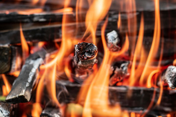 Fire, burning wood, close-up