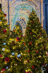 Wall Mural - Beautiful blurred christmas lights on decorated fir trees in the evening