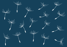 Pattern Of White Dandelion Seeds By Jziprian