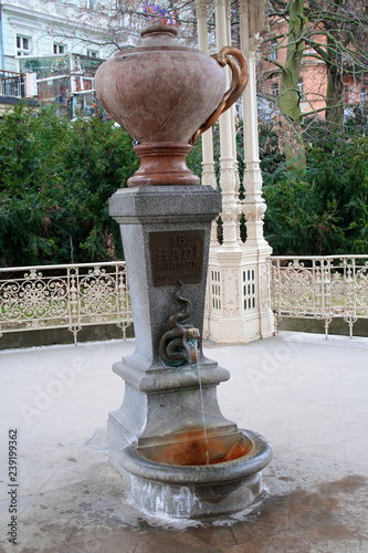 Fotografie, Obraz Thermal mineral spring with snake in Karlovy Vary in the Czech Republic