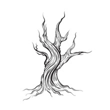 Vector Illustration Of Dead Tree Made In Hand Drawn Style. Line Hand Sketched  Artwork. Template For Card, Poster Banner, Print For T-shirt.