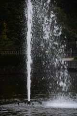 Canvas Print - Fountain in the park / background texture