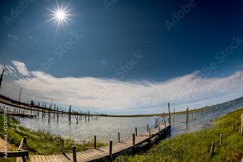 Fotografie, Obraz Waterway for boats to dock with green grass and a special sun star in the shy