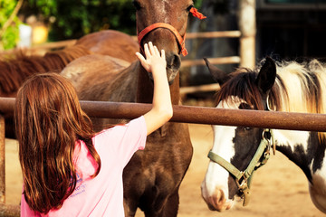 Wall Mural - A cute white girl touches the big brown strong horse in the farm