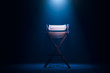 © fergregory - retro director chair on gray