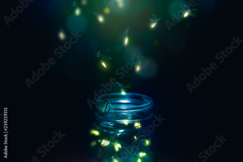 Fotomural fireflies in a jar on a dark background