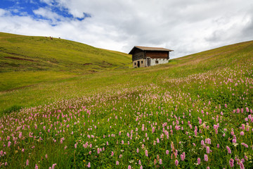 Canvas Print - Berghütte