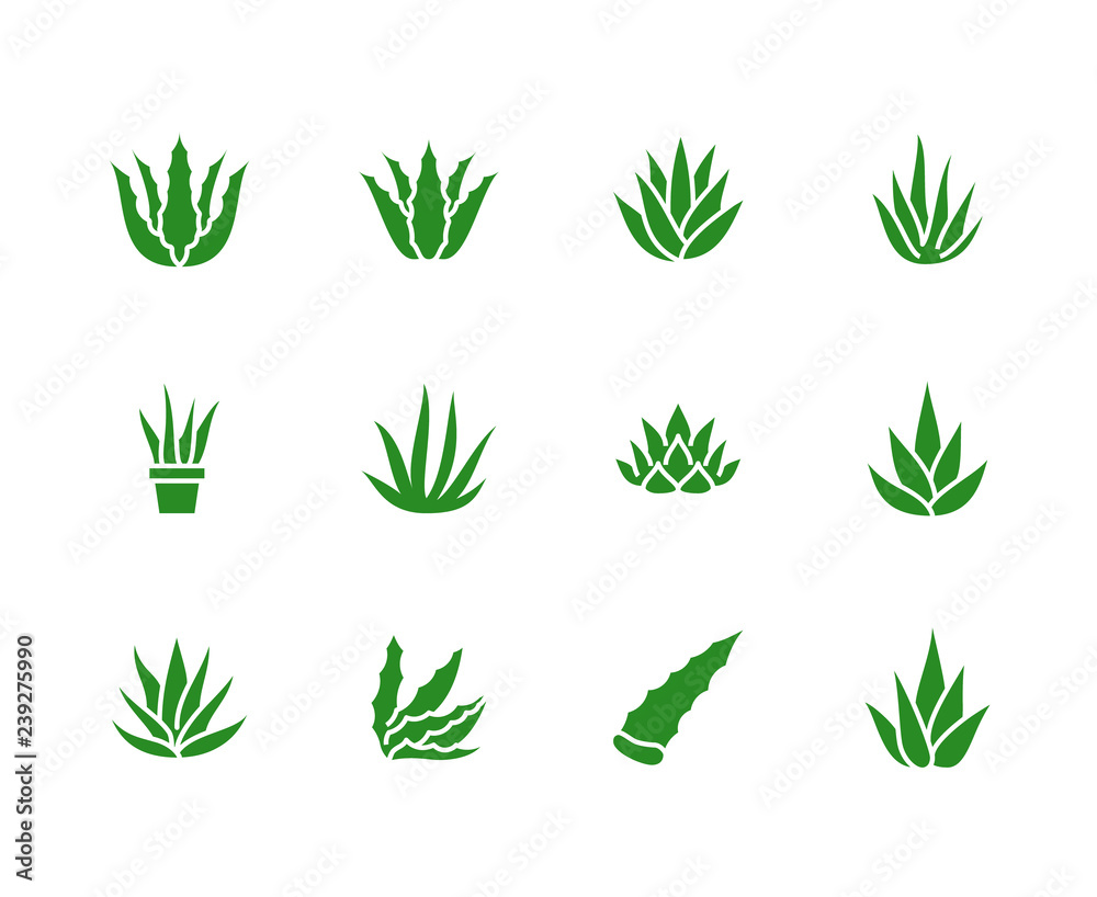 Aloe vera flat glyph icons. Succulent, tropical plant vector illustrations, signs for organic food, cosmetic. Solid silhouette pixel perfect 64x64 - obrazy, fototapety, plakaty 