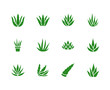 Aloe vera flat glyph icons. Succulent, tropical plant vector illustrations, signs for organic food, cosmetic. Solid silhouette pixel perfect 64x64