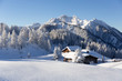 © Olha Sydorenko - Beautiful winter landscape.  A traditional alpine hut  in the Alps