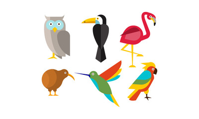 Sticker - Birds set, owl, flamingo, parrot, hummingbird, toucan, kiwi vector Illustration