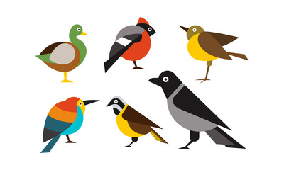 Wall Mural - birds set, duck, bullfinch, sparrow, tit, crow, titmouse vector illustration