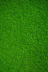 Wall Mural - Artificial grass background