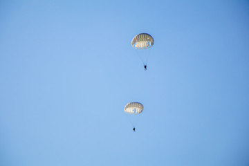 Wall Mural - Jump of paratrooper with white parachute, Military parachute jumper in the sky.