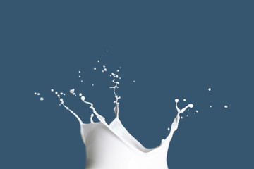 Splash of milk on color background