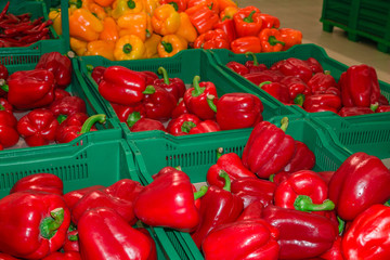 Wall Mural - red and yellow bell peppers in plastic boxes sold on the market..